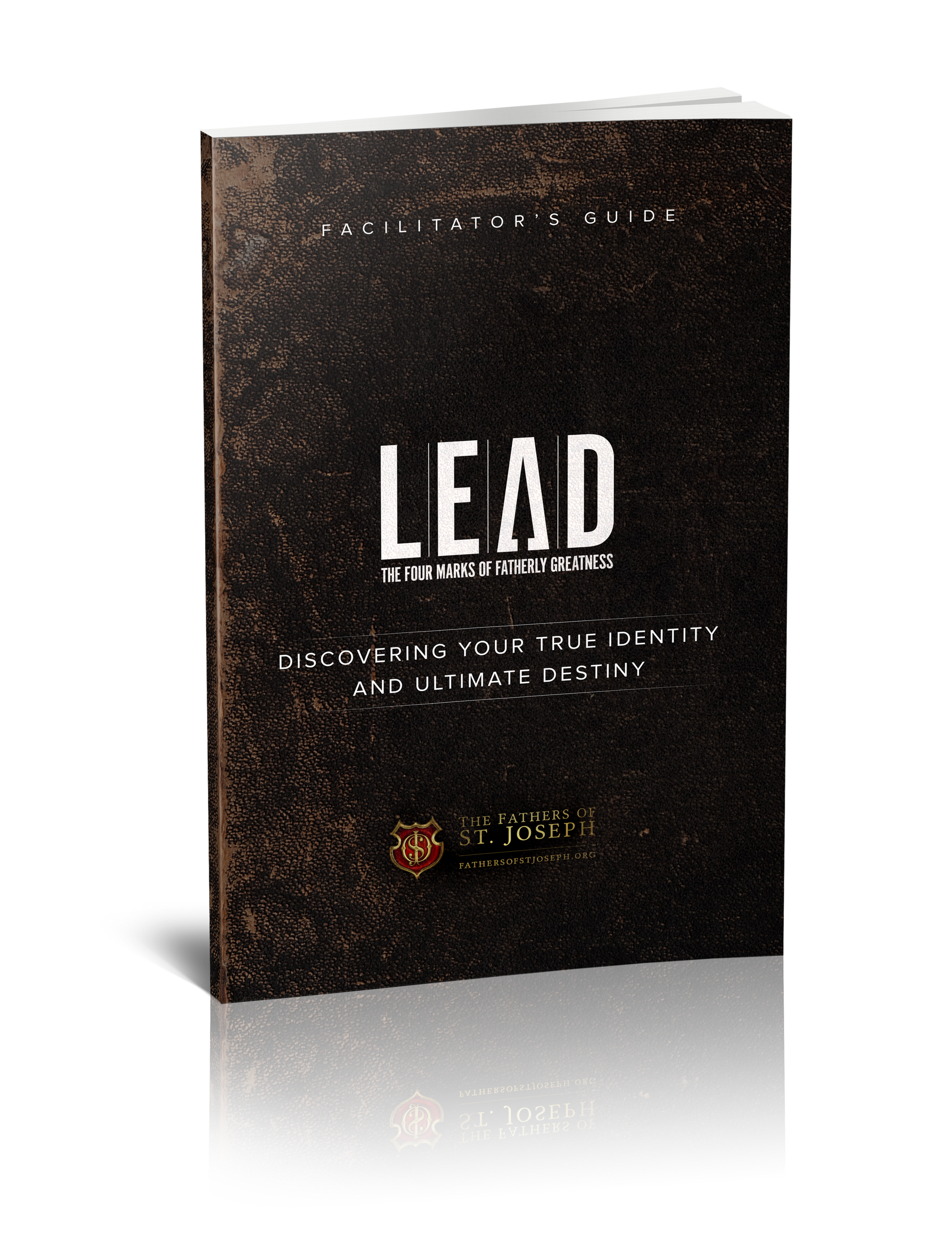 LEAD - Facilitator's Guide