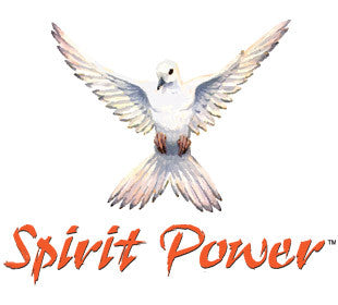 Spirit Power – Stewardship: A Mission of Faith