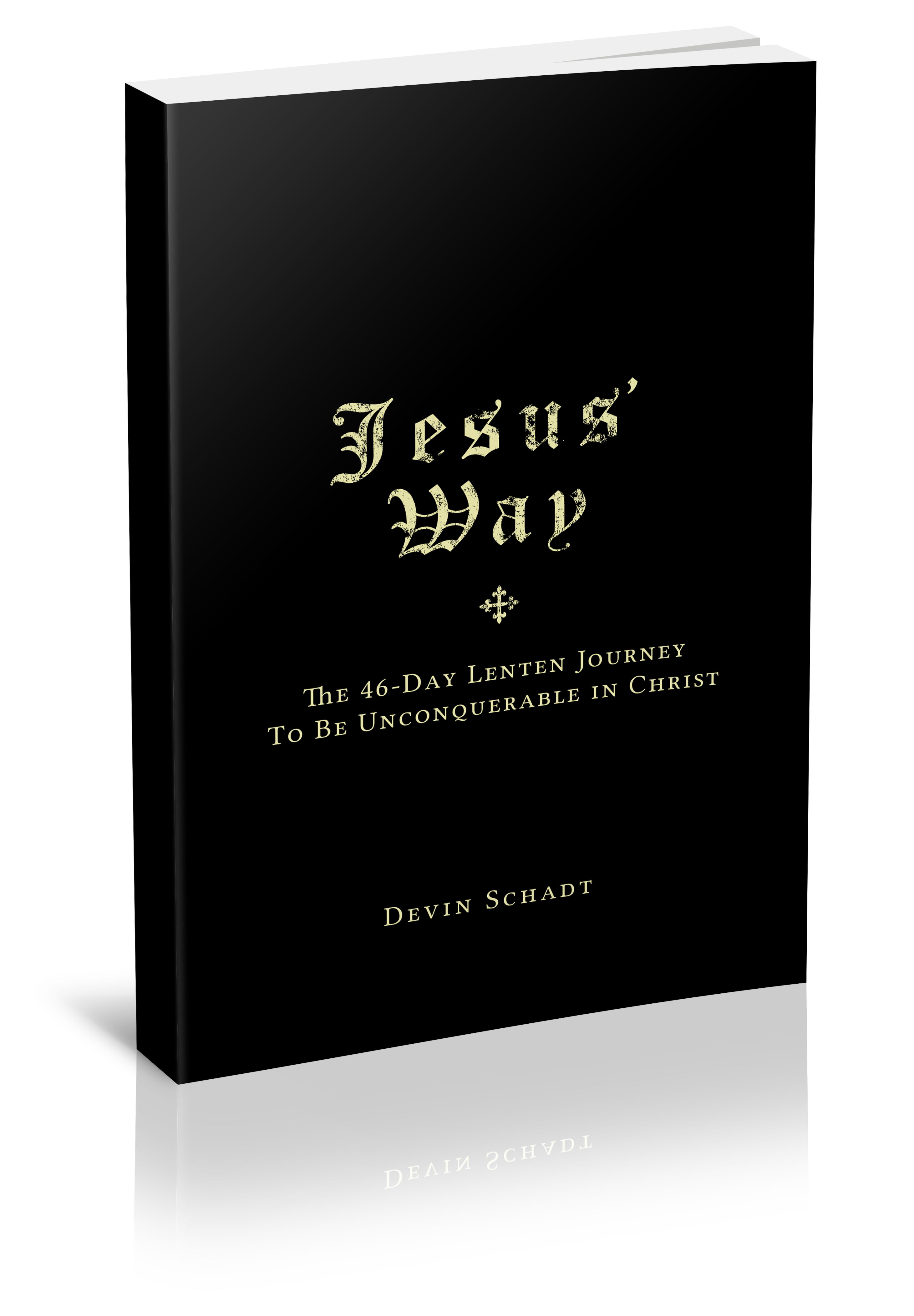 Jesus' Way Paperback – Stewardship: A Mission of Faith